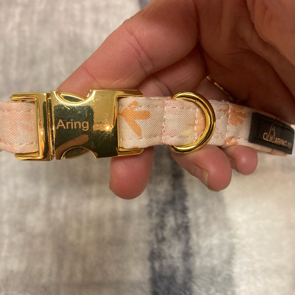 Aring Pet Collar Small Dog